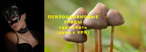 героин Алзамай