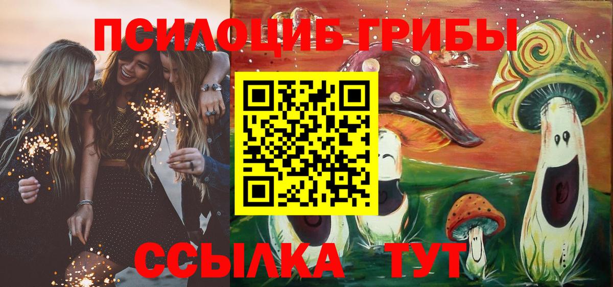 Урай  Галлюциногенные грибы Psilocybine cubensis  Вход с VPN 