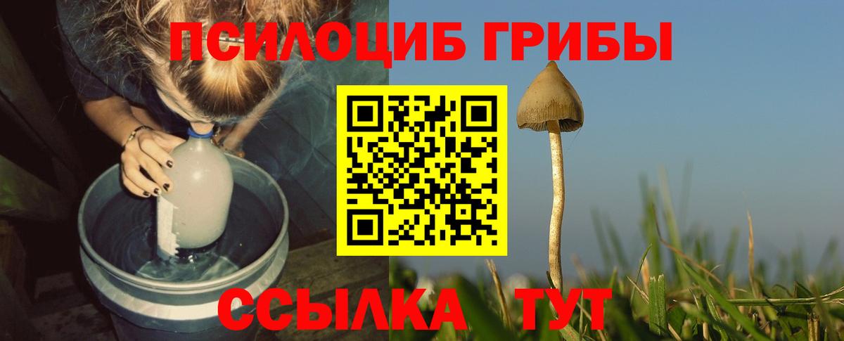 Галлюциногенные грибы MAGIC MUSHROOMS Урай